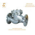 Non Return Valve with DIN Standard